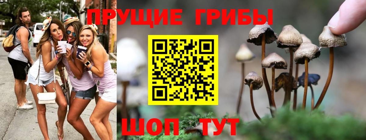Псилоцибиновые грибы MAGIC MUSHROOMS  Галлюциногенные грибы мухоморы  Мценск  Вход с VPN 